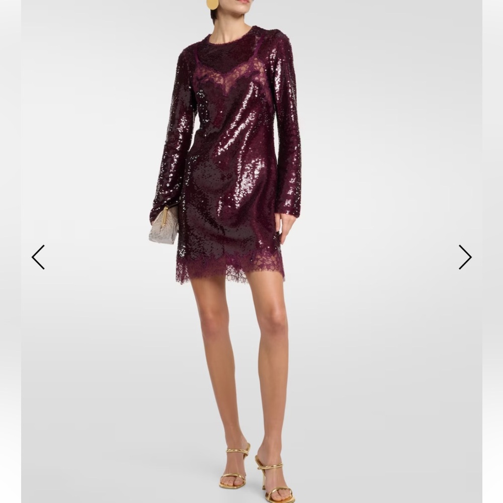 Jonathan Simkhai Mako Maroon Long Sleeve
Sequinned Mini Dress✨